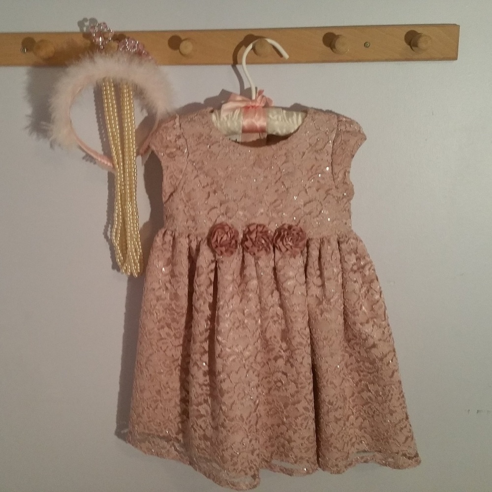 Mia & Mimi Size 2T Rose Colored Lace Formal Dress